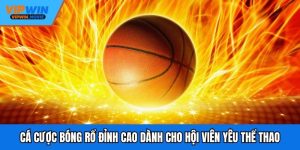 Cá Cược Bóng Rổ