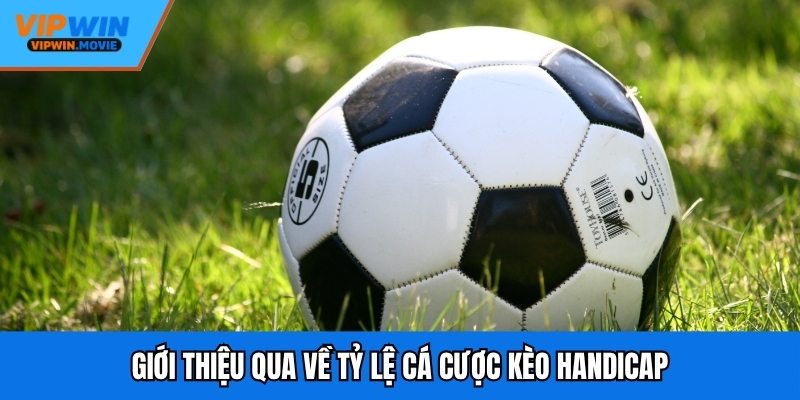 Giới thiệu qua về tỷ lệ cá cược kèo handicap