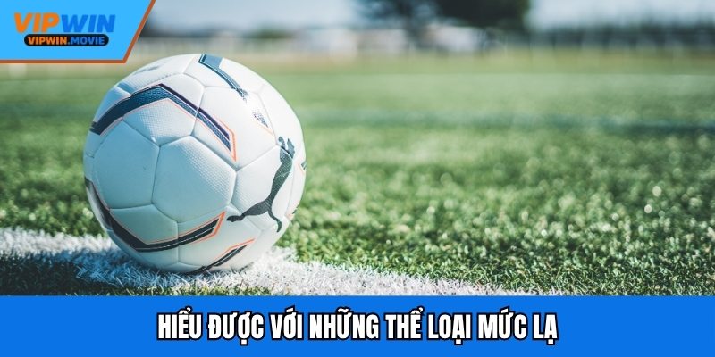 Hiểu được với những thể loại mức lạ