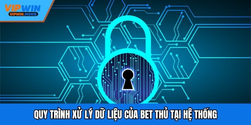 Quy trình xử lý dữ liệu của bet thủ tại hệ thống